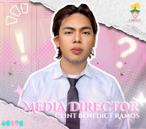 Media Director