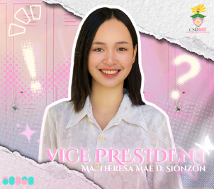 Vice President