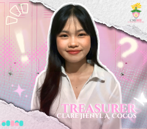 Treasurer